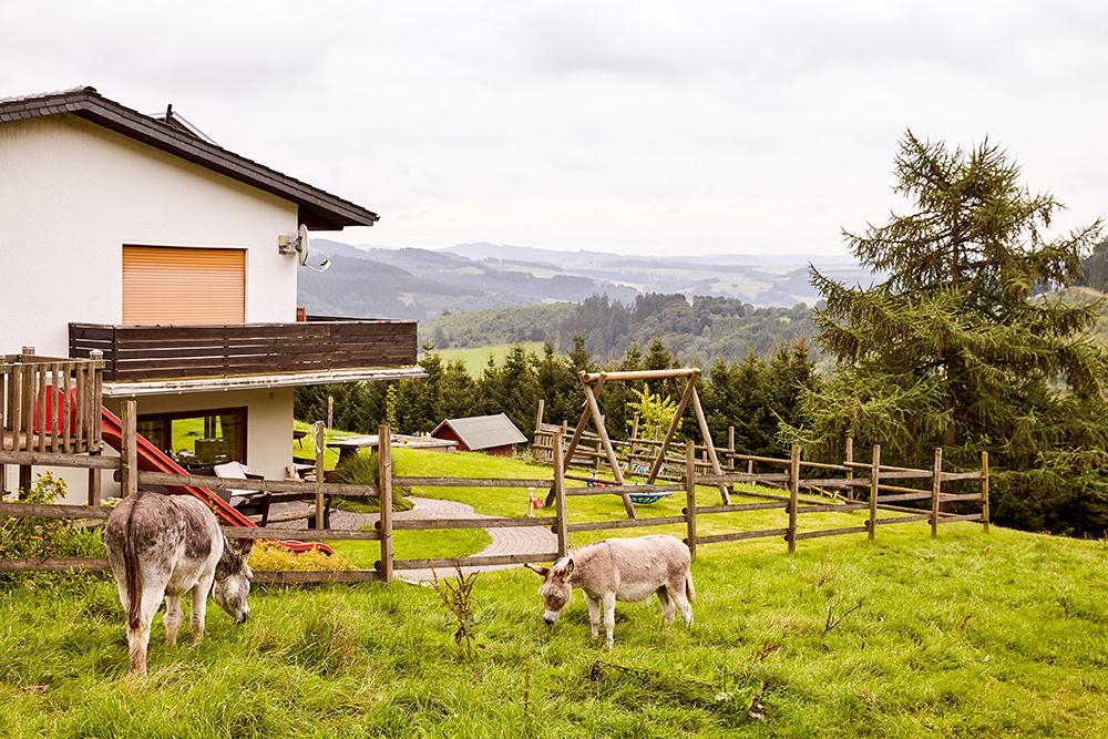 Pension Haus Am Einberg Meschede Eksteriør billede